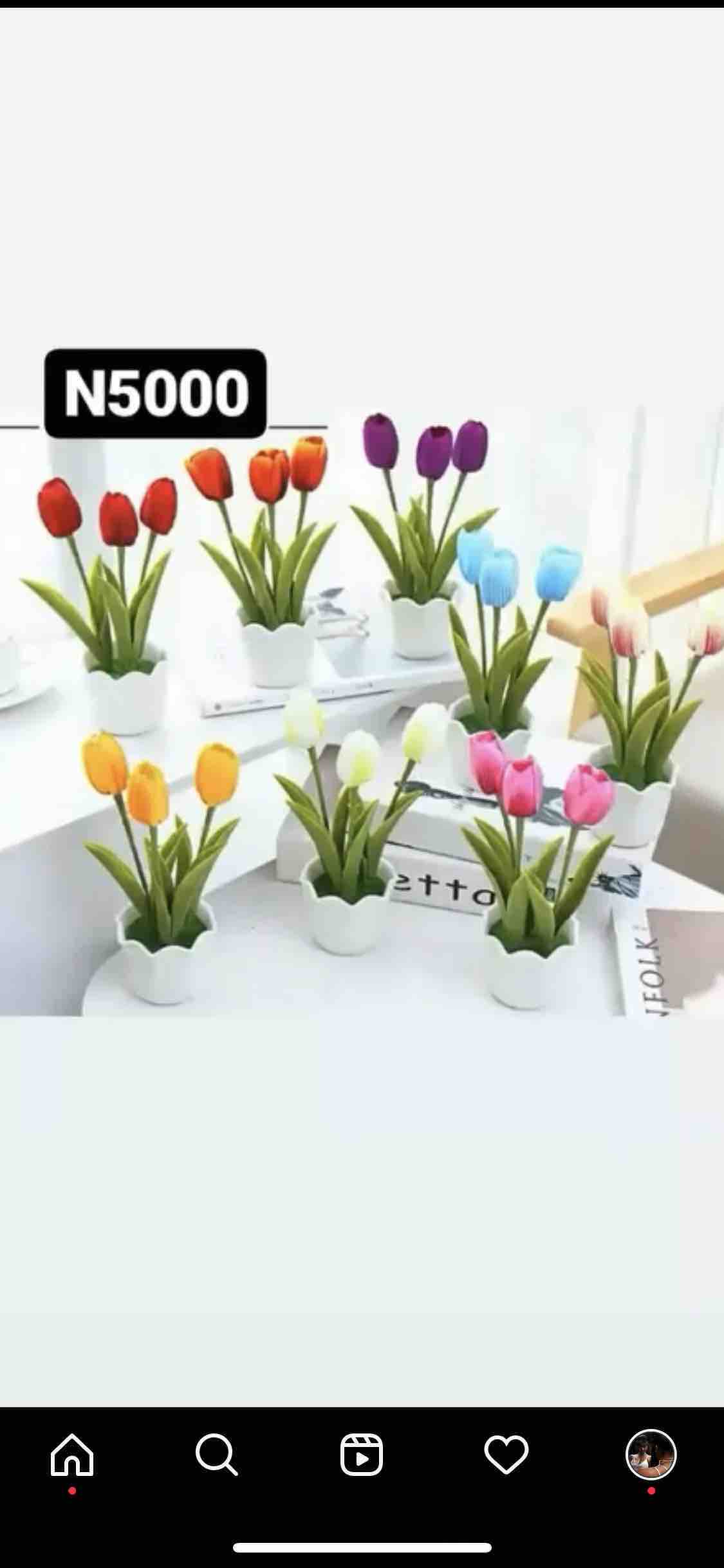 White potted plant 