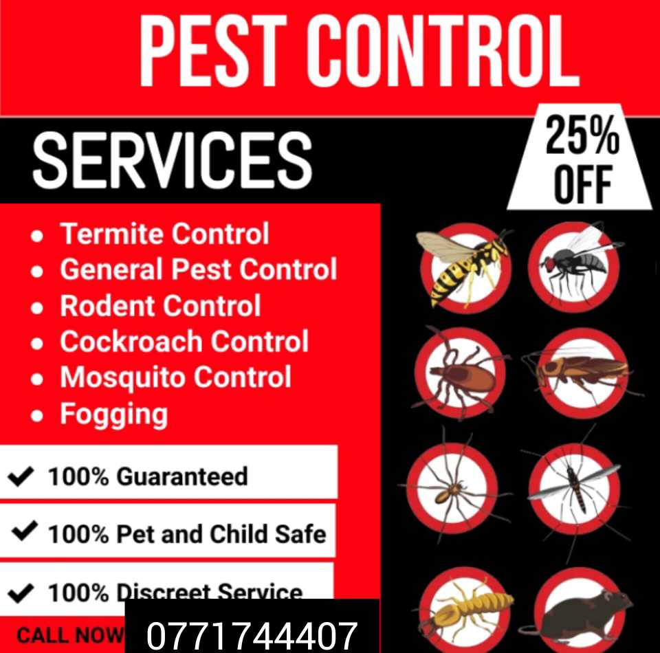 pest control services 