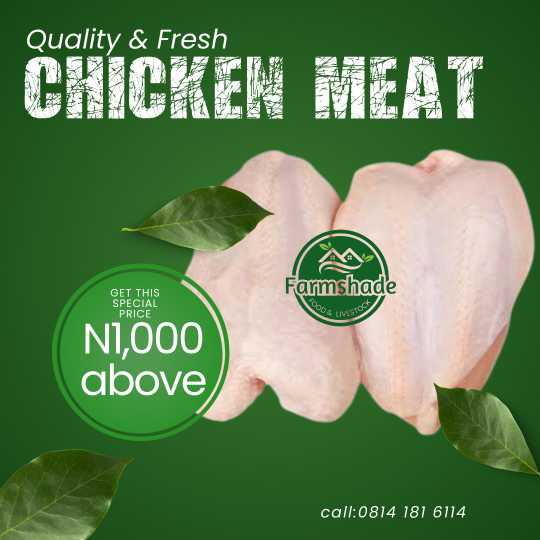chicken meat