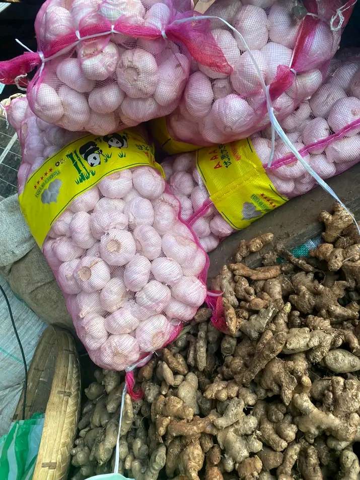 Garlic and ginger 