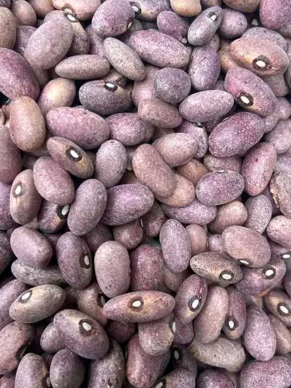 Beans 