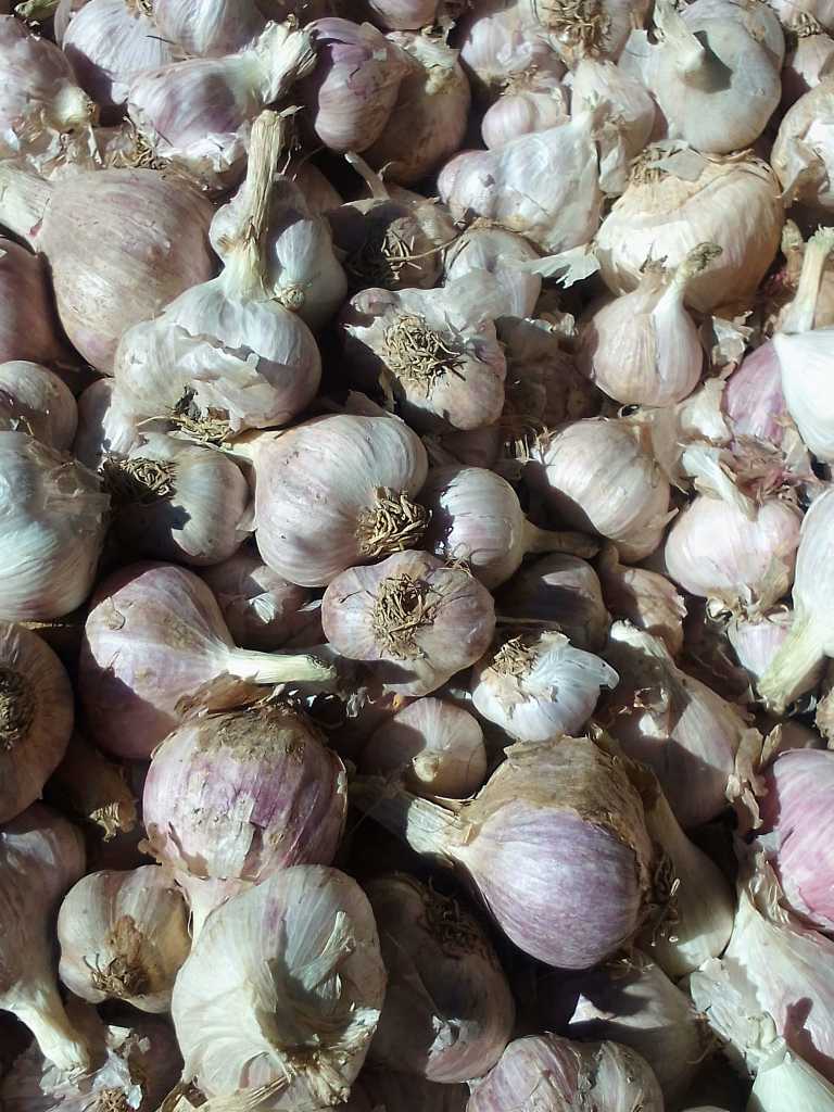 local garlic, pizzz, chili and popcorn 