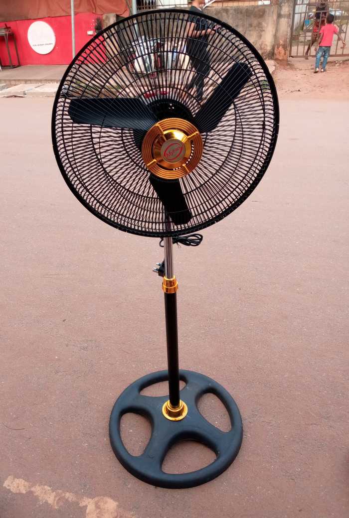 Standing Fan 