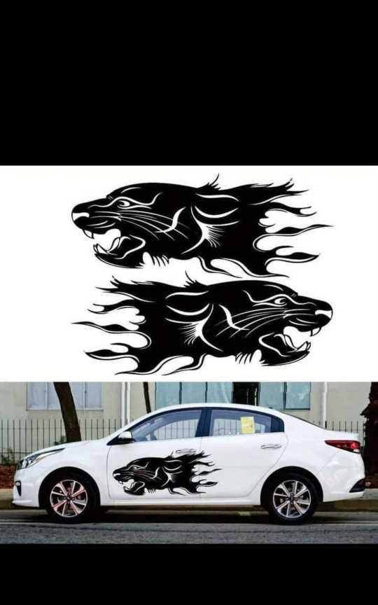 car body stickers 