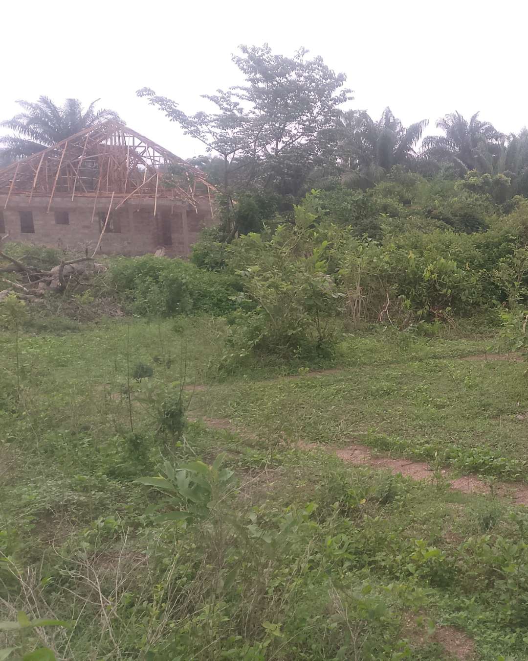 Two plot of land 