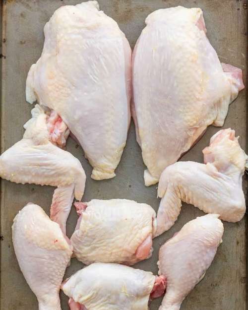 chicken 