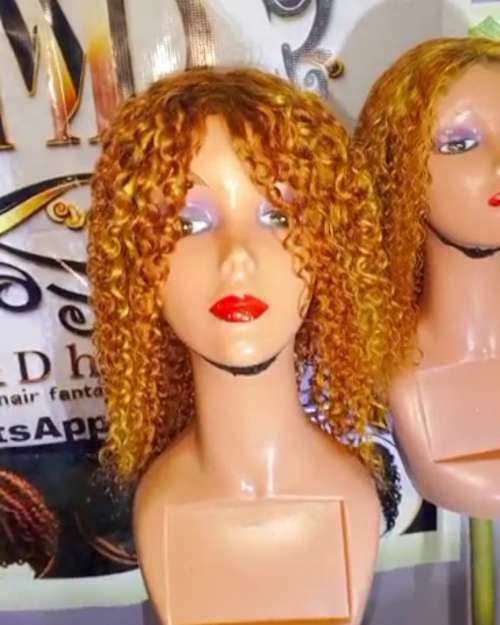 Human hair wig 