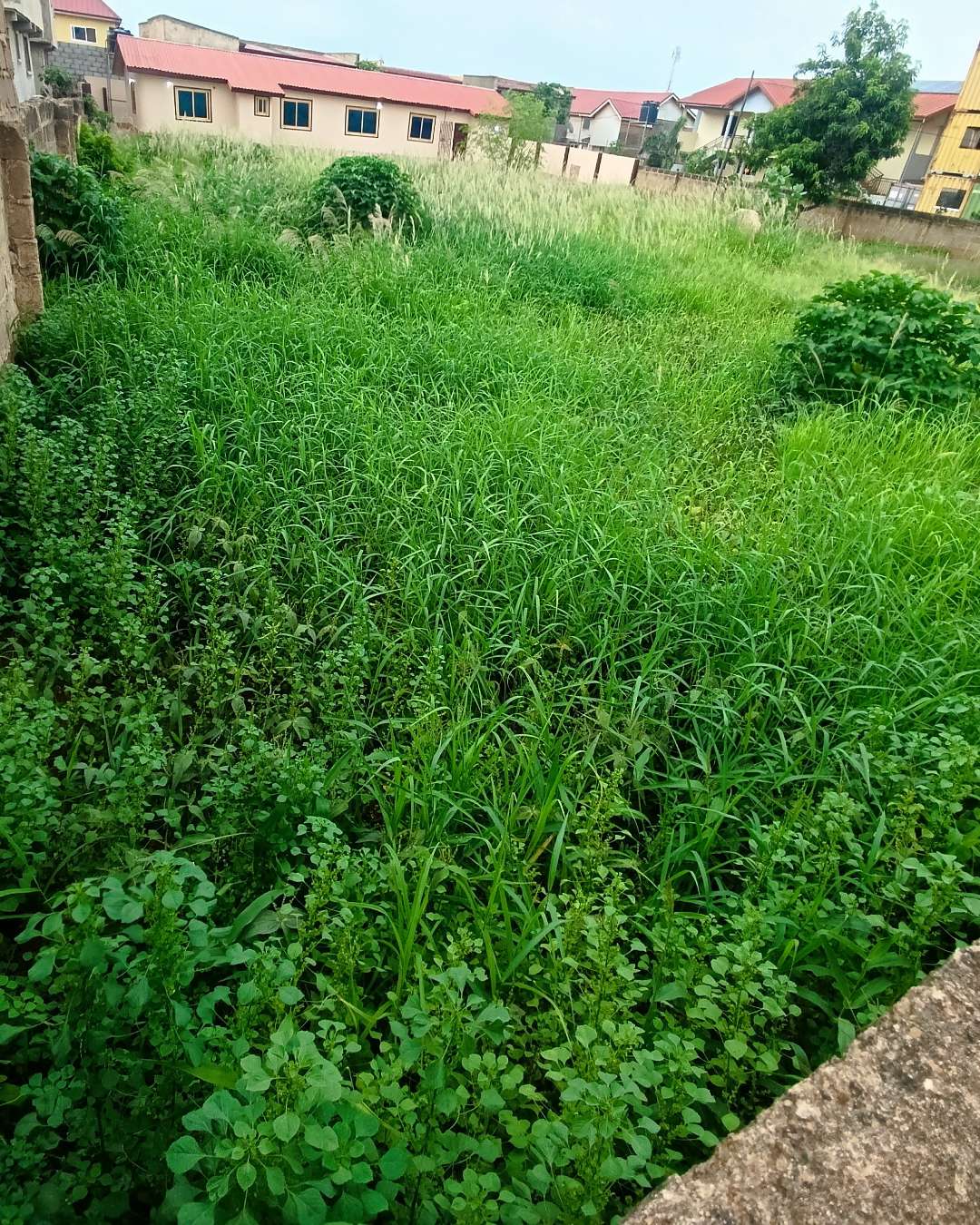 3 plots of land for sale at ashorman est
