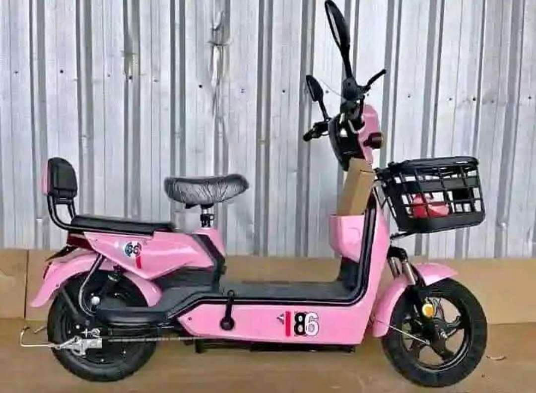 Electric scooter bike 