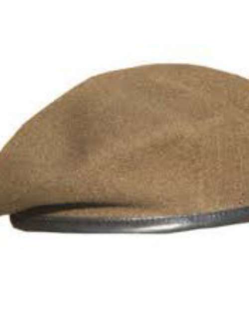 Brown Beret 