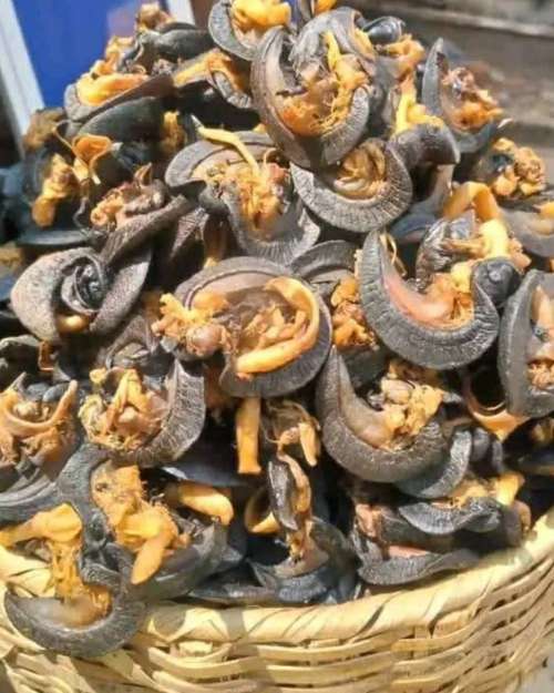 Grilled and Fresh Snails