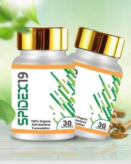 Spidex19 (Antibiotic)