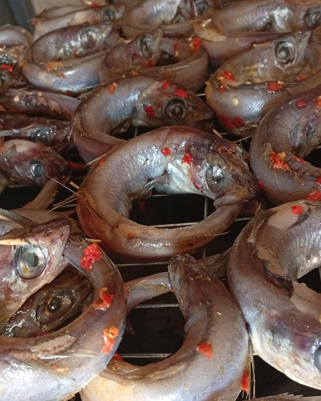 Seafood (Catfish, hake, crayfish...)