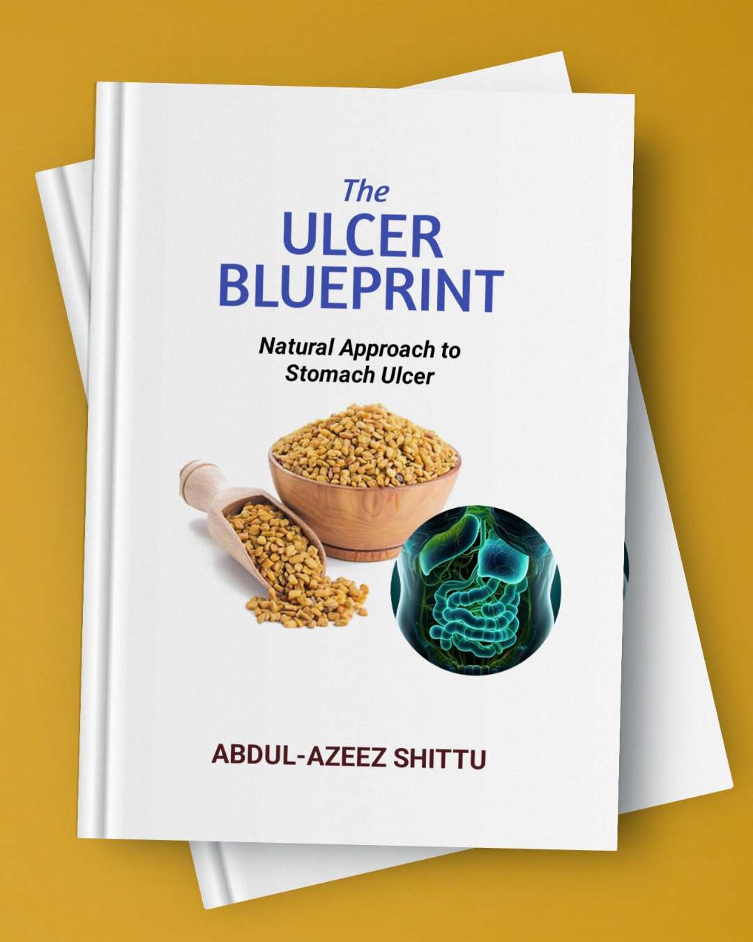 The Ulcer Blueprint 