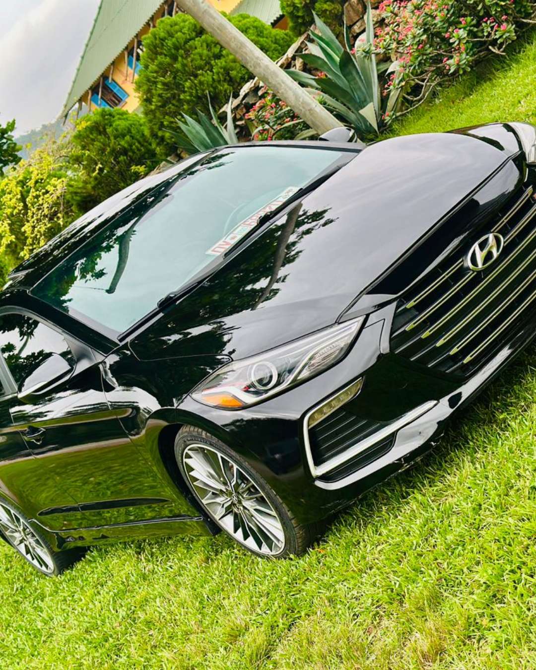 2018 hyundia Elantra Sports 