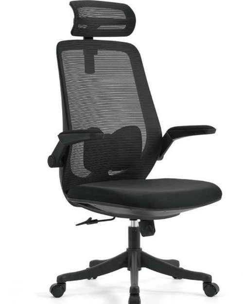 Executive Office Chair