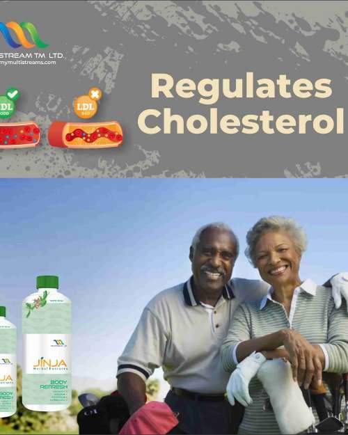 JINJA HERBAL EXTRACT REGULAT CHOLESTEROL