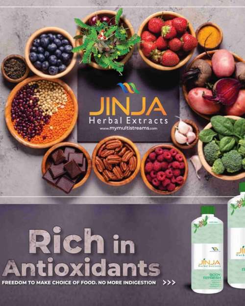 JINJA HERBAL EXTRACT ANTIOXIDANTS HERBZ