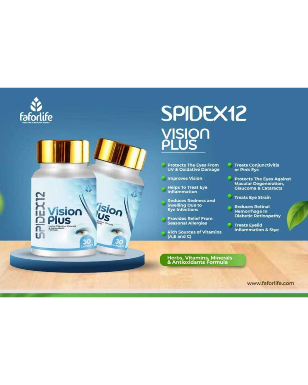 Spidex12 Vision Plus