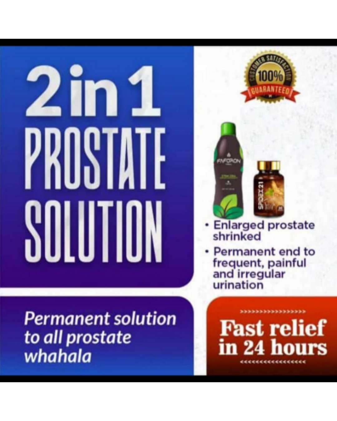PERMANENT SOLUTION FOR PROSTATE DISEASES