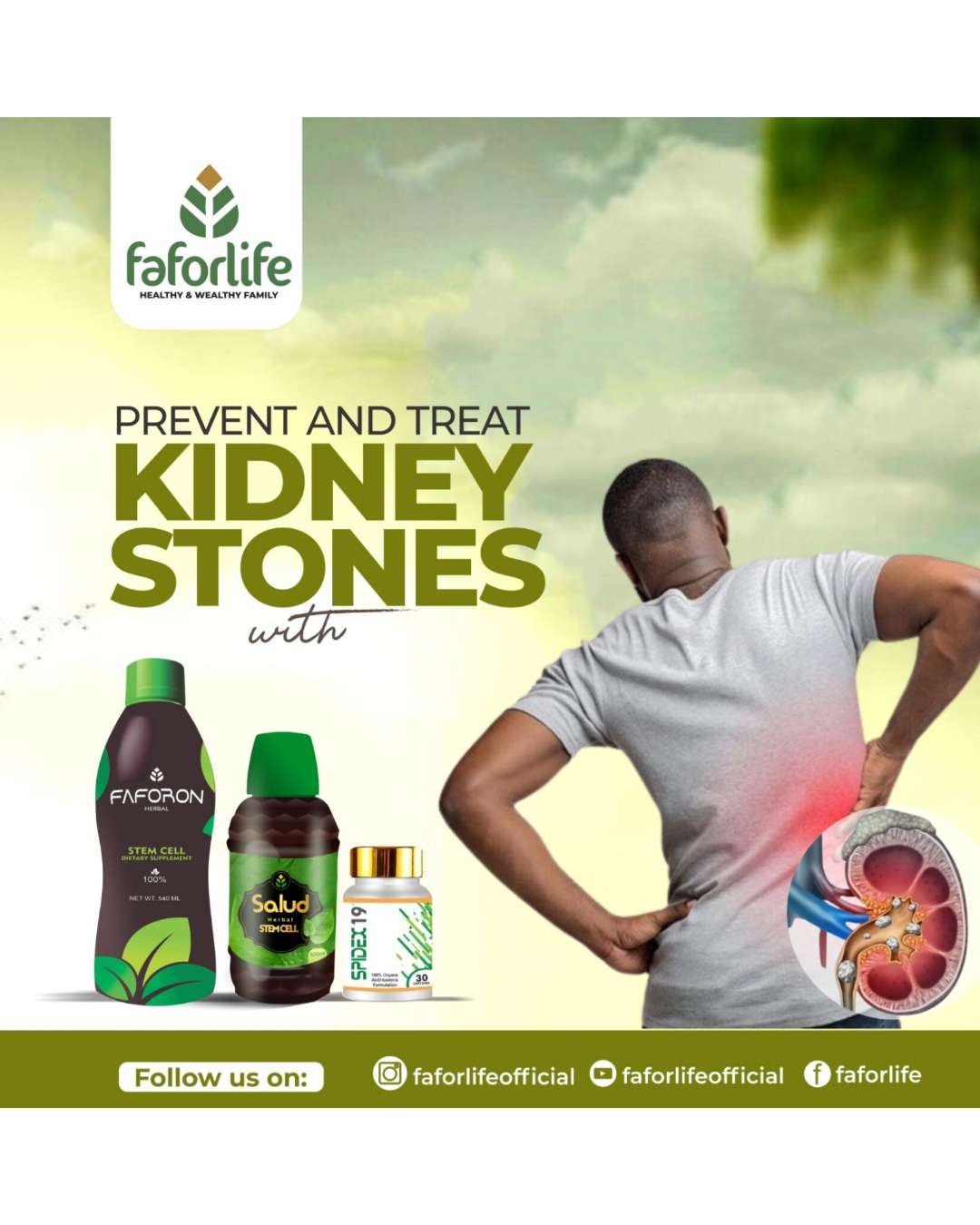 PREVENT AND TREAT KIDNEY STONES DISEASE