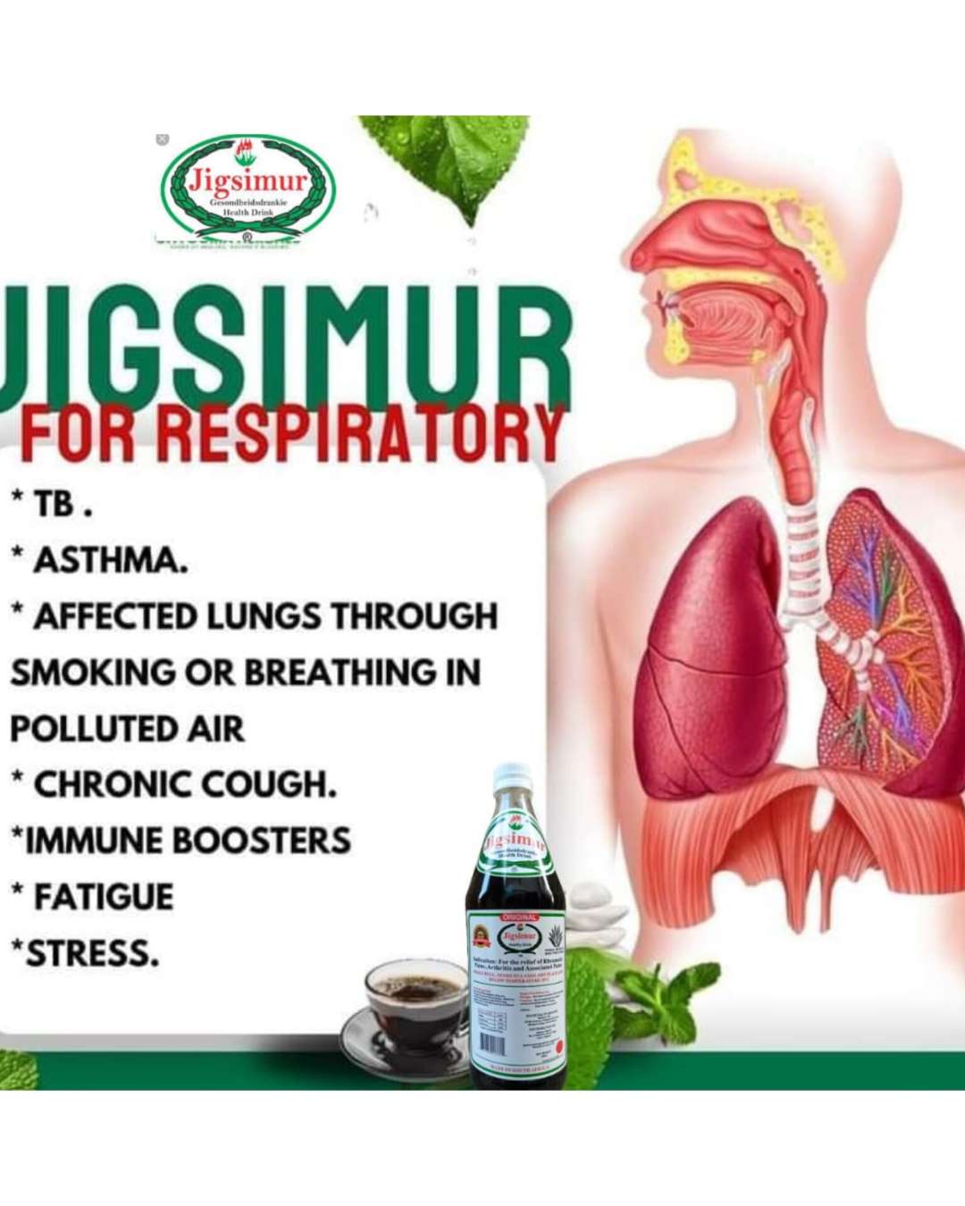 JIGSIMUR TREAT TB, CHRONIC COUGH, ASTHMA