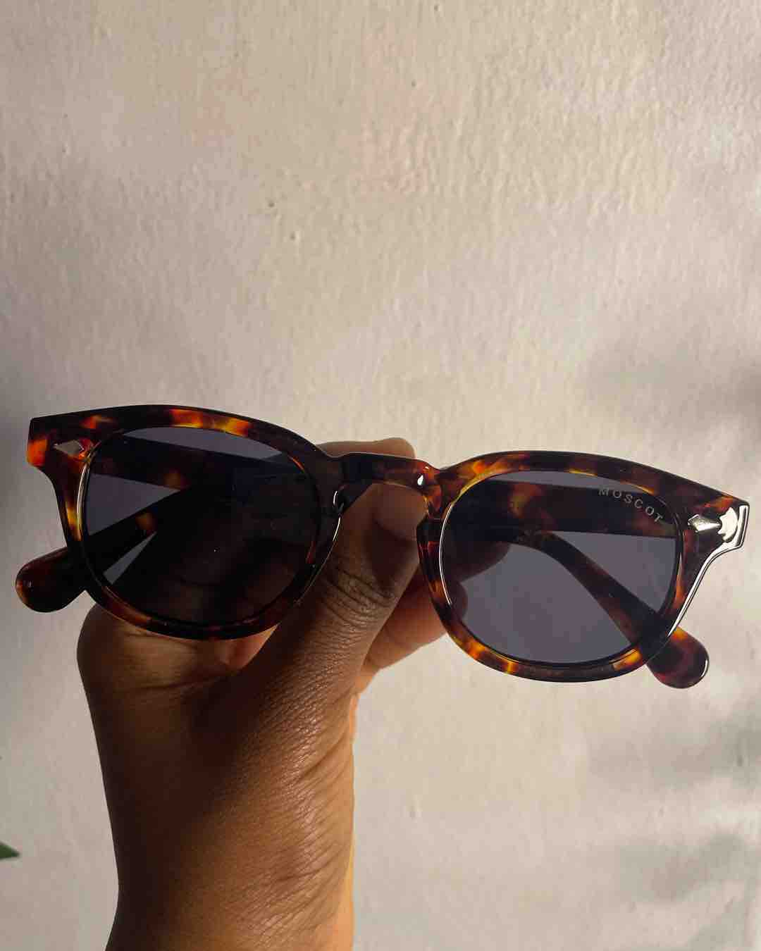 Ava Glasses