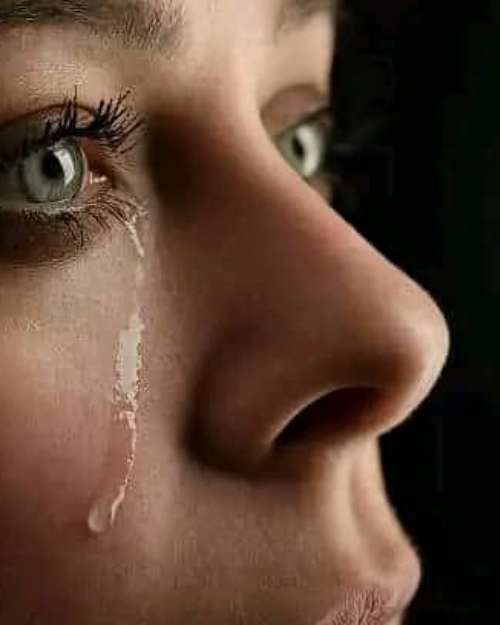 Cellular Nutrition: The Truest Wealth