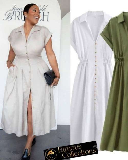 Elegant Lady's Dress