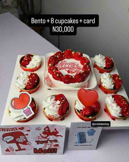 Bento Cake and Cupcake Set