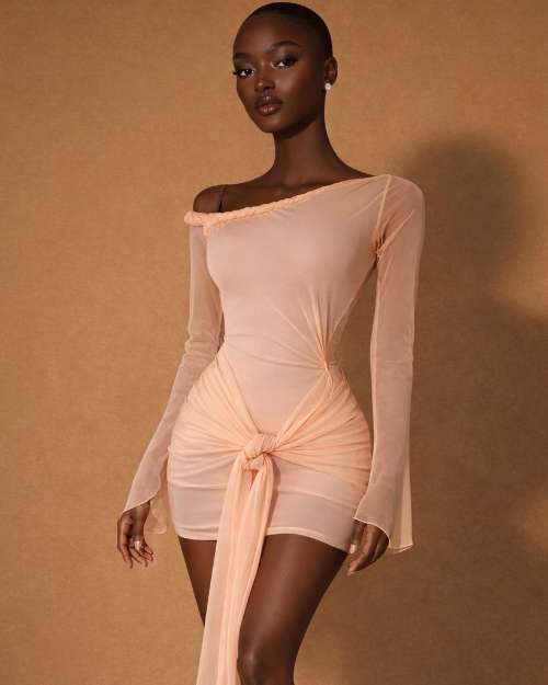 Mesh Collection Dress