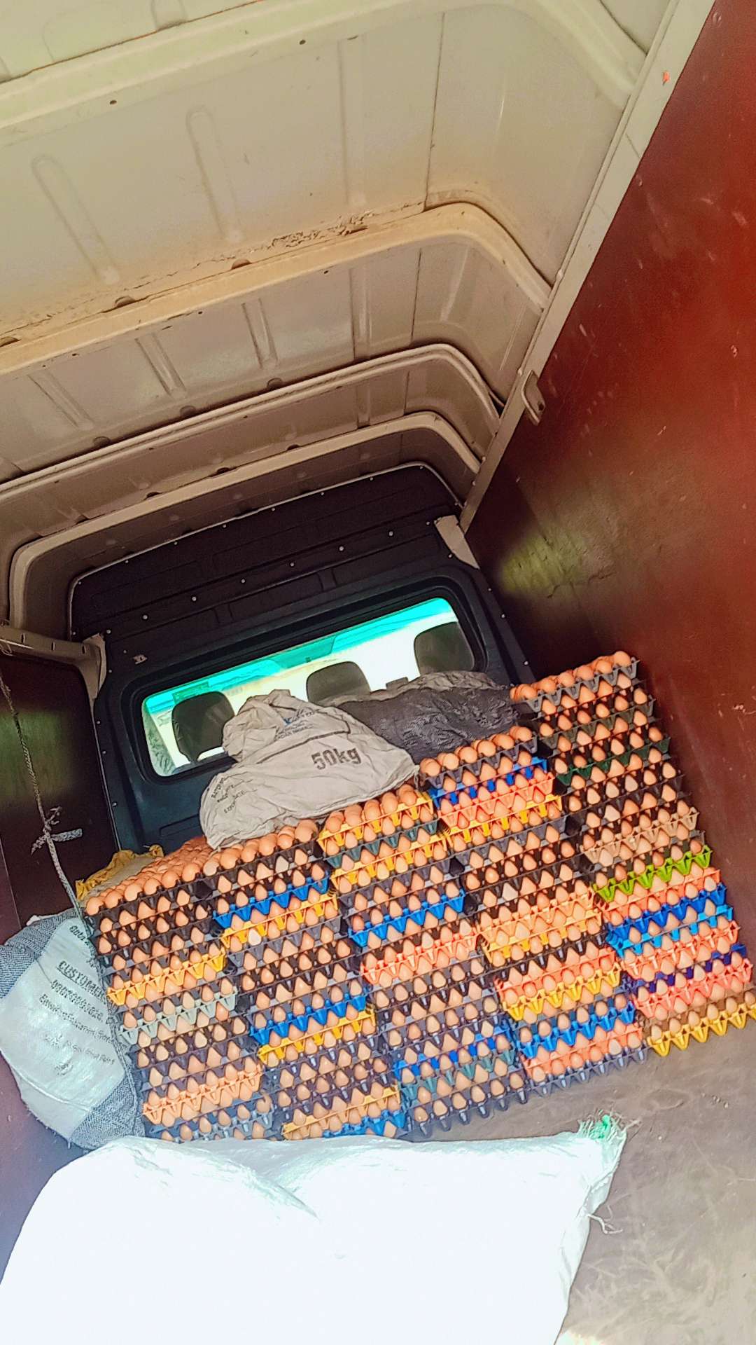 Bulk and Retail Eggs