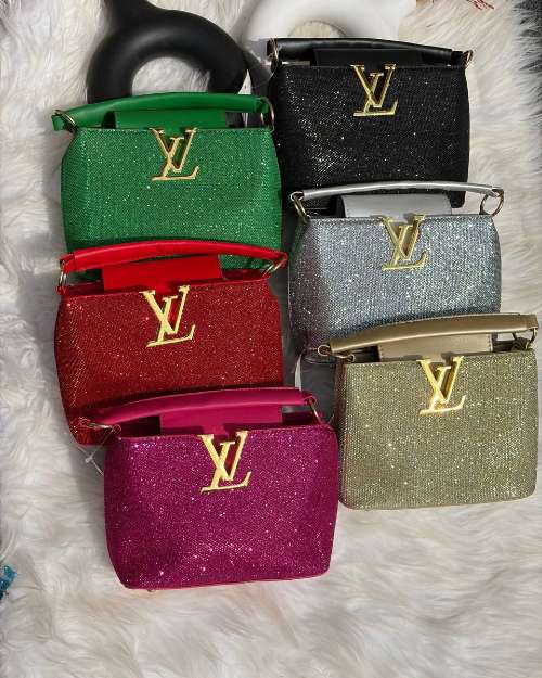 Louis Vuitton shinning bag