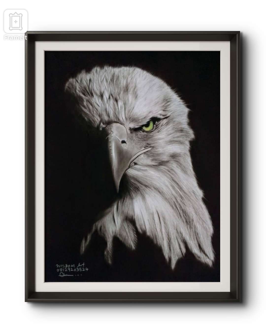 Original Eagle Pencil Drawing
