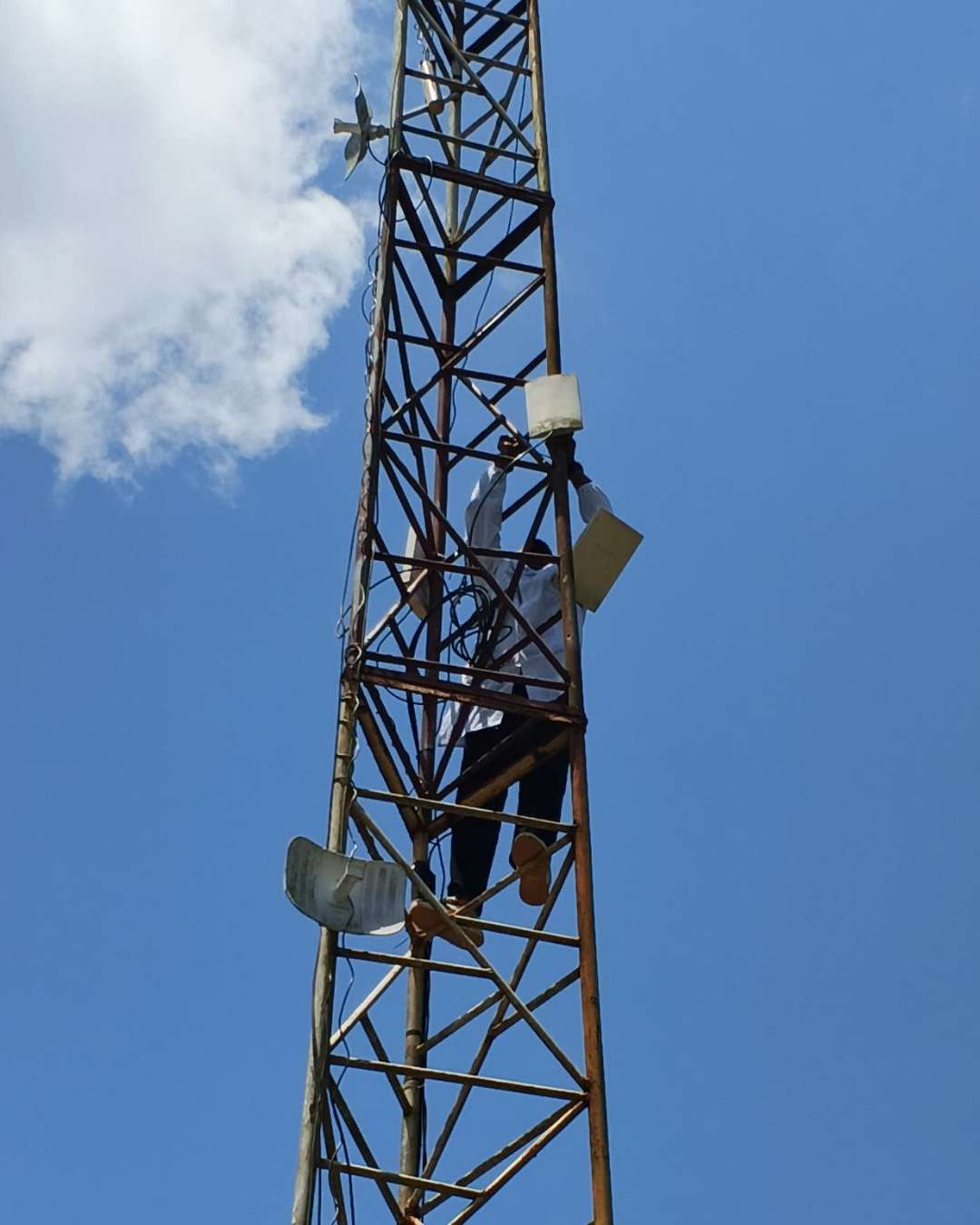 Network, WiFi and IT Setup Services