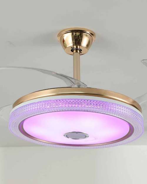 Voice Control Bluetooth Speaker Fanlight with RGB