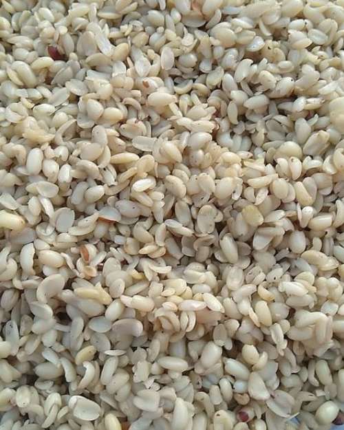 Ukwa(Breadfruit)