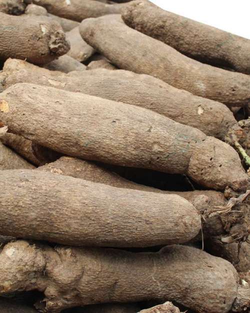 Yam