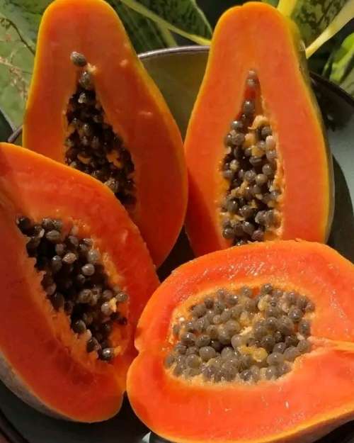 Fresh Papaya Seeds for Planting
