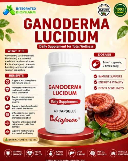 Bigferox Ganoderma Lucidum Daily Supplement - 40 Capsules