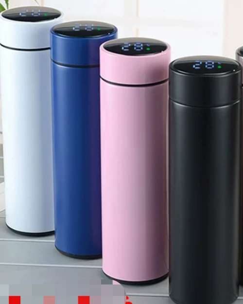Smart Temperature Display Water Bottle