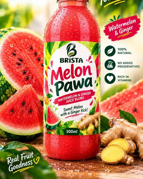 BRISTA Melon Pawa Watermelon & Ginger Juice Blend 500ml