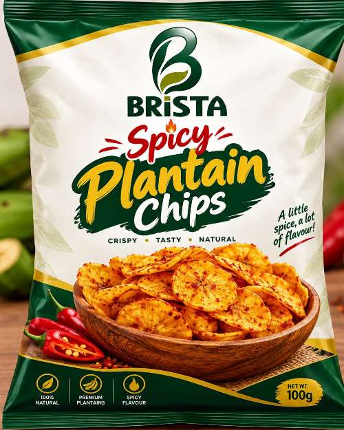 BRISTA Spicy Plantain Chips