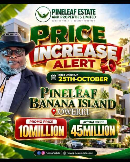 Pineleaf Banana Island, Owerri - Real Estate