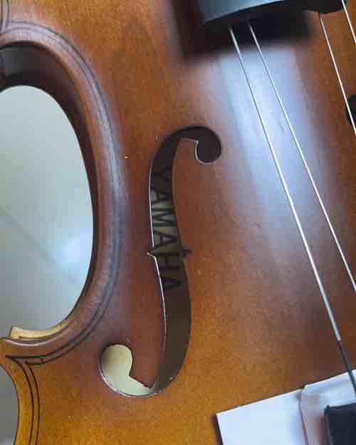 Violin 