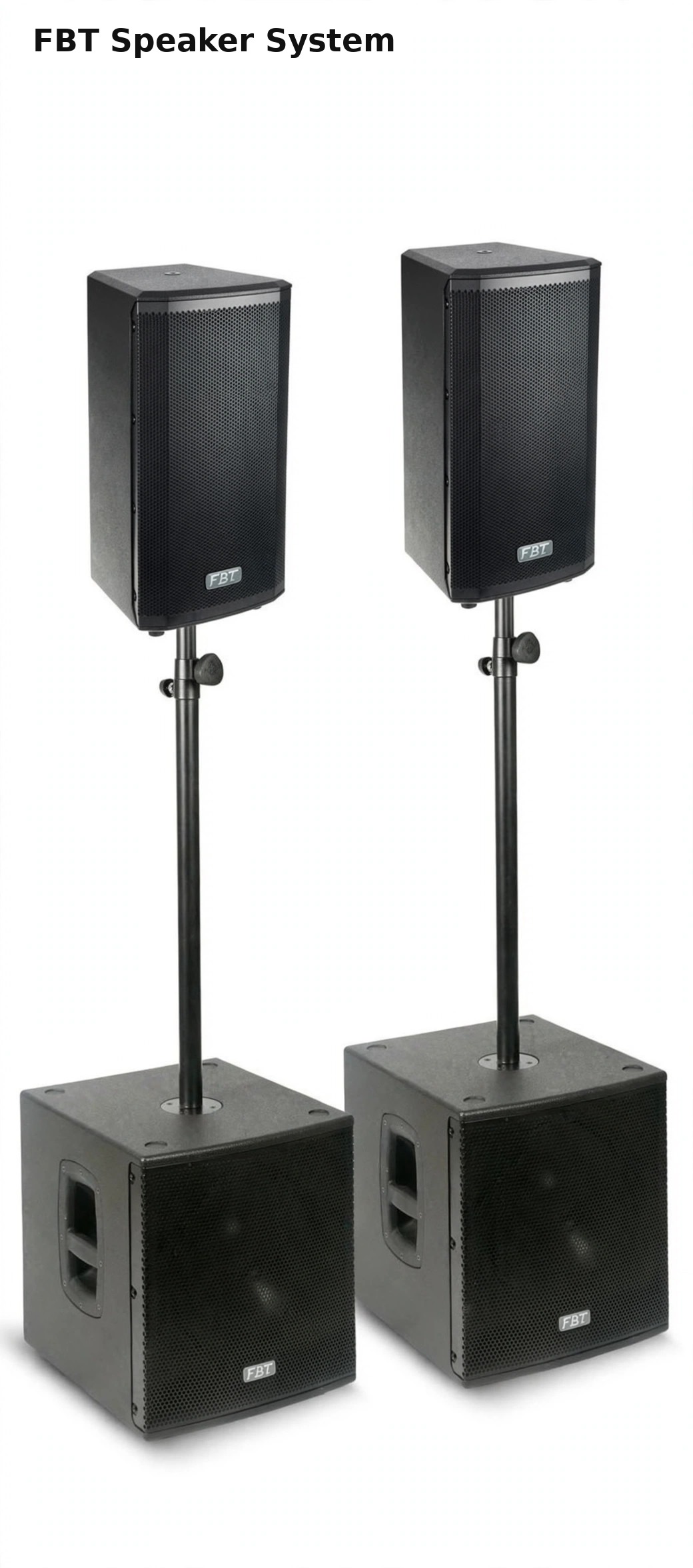 FBT Speaker System with Subwoofers