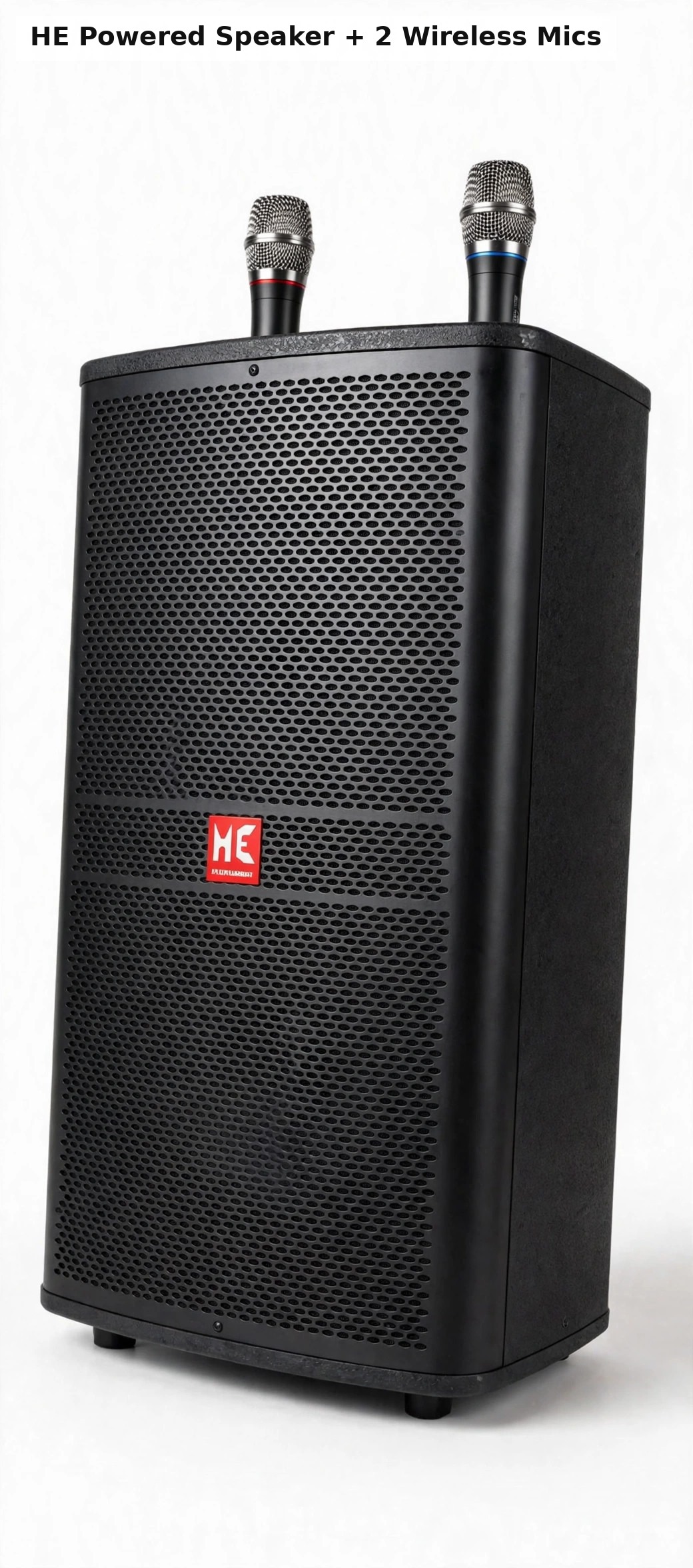 HE Powered PA Speaker with 2 Wireless Microphones