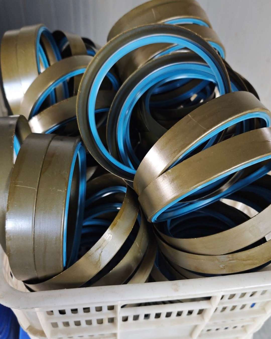 Oil Seals and Bearings