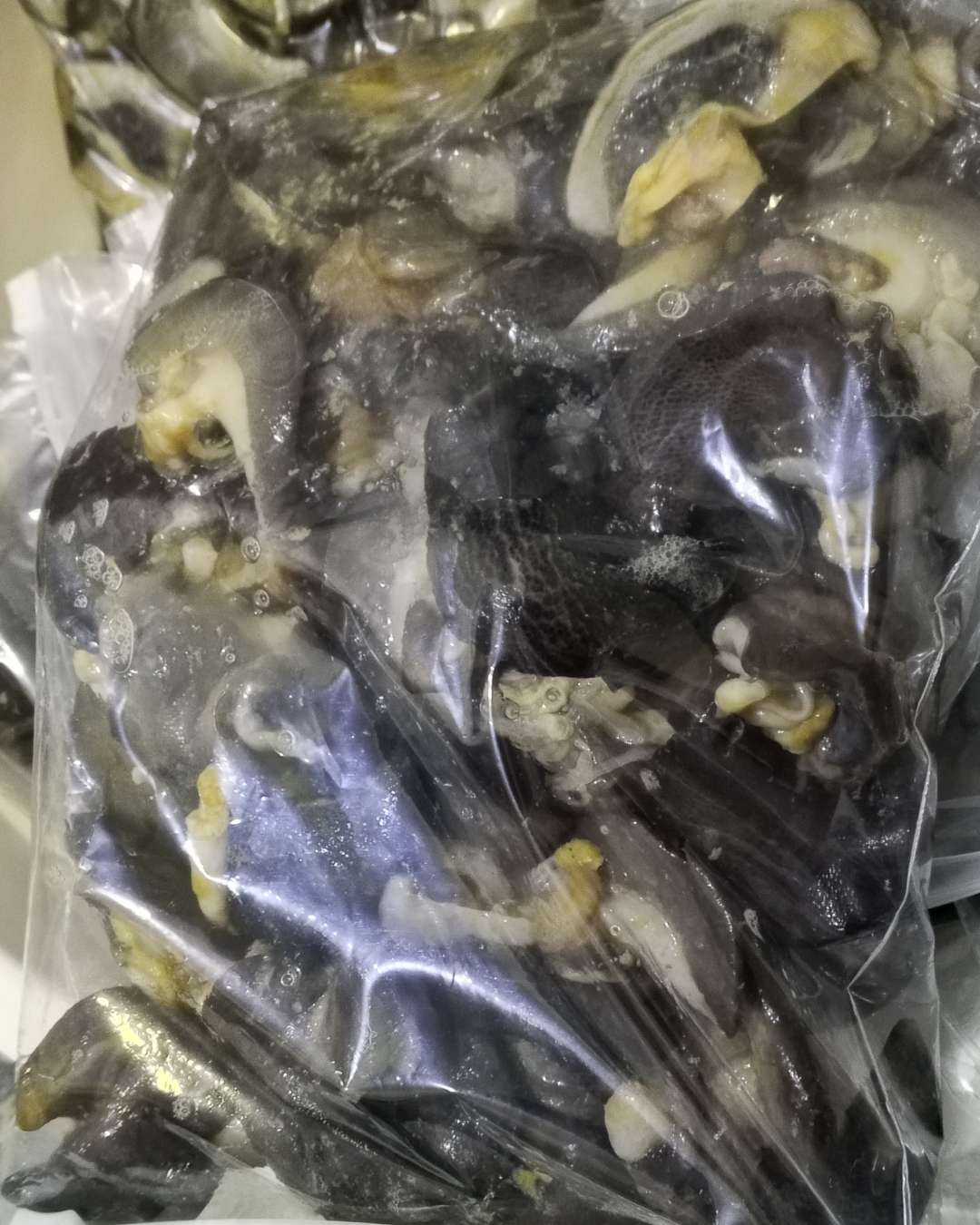 Fresh snails 