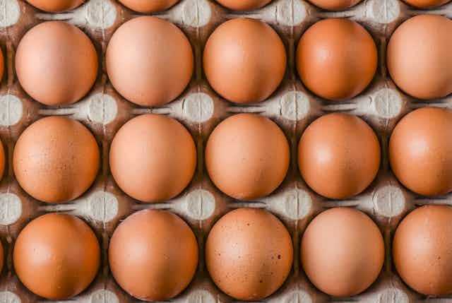 Eggs